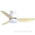 Low profile ceiling fan